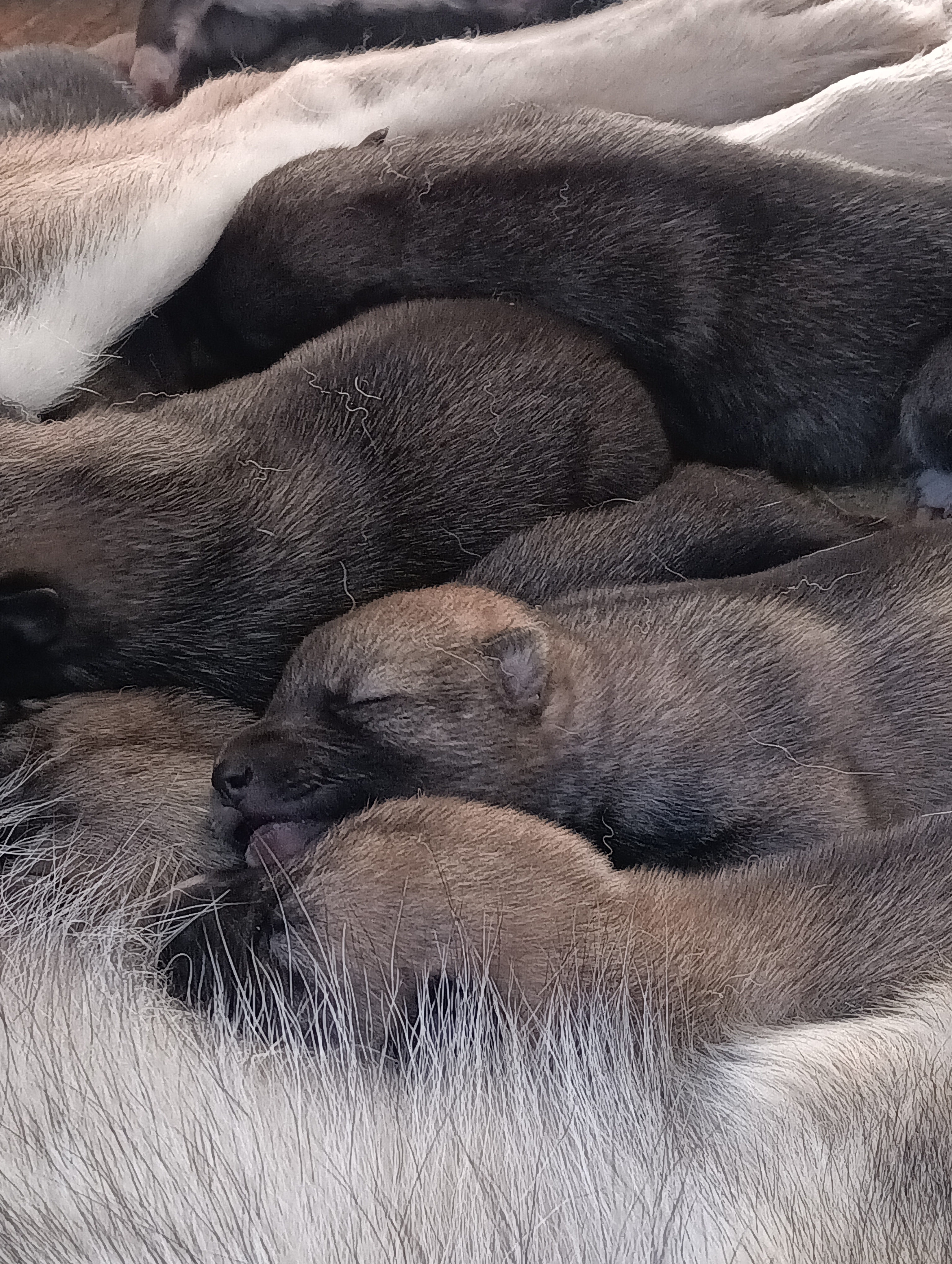 IMG 20250926 102716713